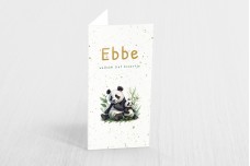 Grote panda en kleine panda Grote panda en kleine panda